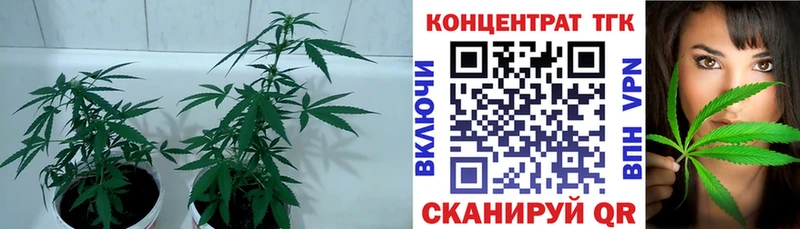 mega ССЫЛКА  закладка  Уфа  ТГК жижа 