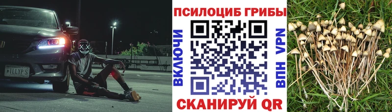где можно купить Уфа Галлюциногенные грибы ЛСД
